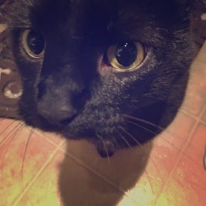 FLASH SALE!!! Hit 2000 followers!!!